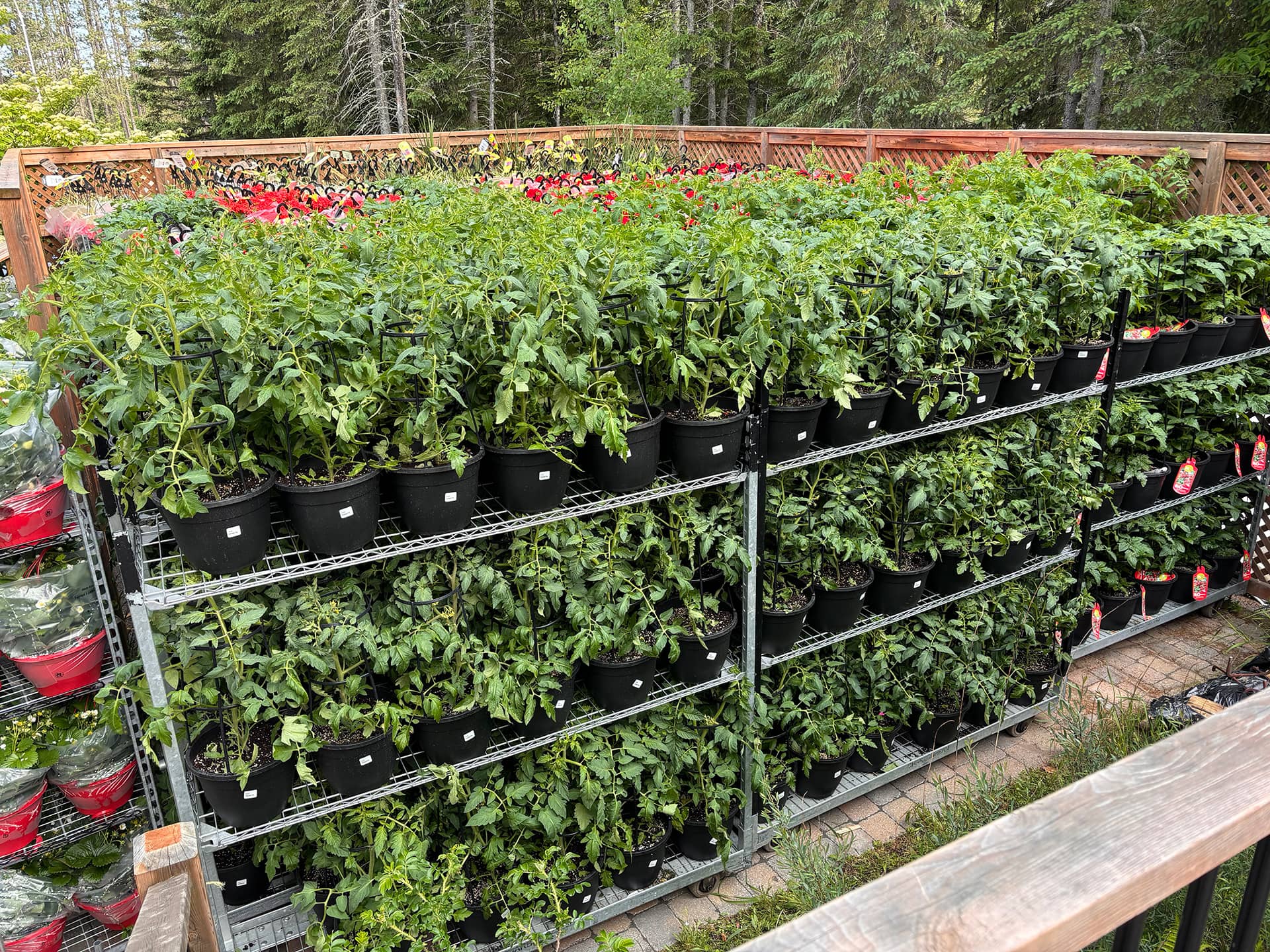 Un grand succès pour notre troisième Marché de Fleurs !